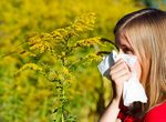 alergija dete ambrozija